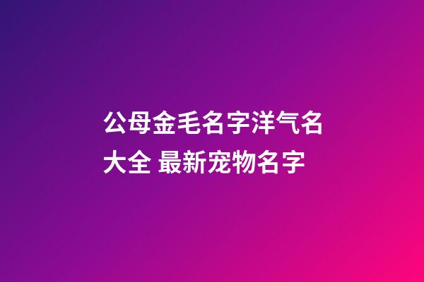 公母金毛名字洋气名大全 最新宠物名字